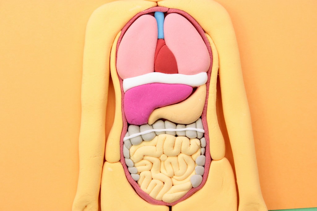 胃瘻患者の日常管理と栄養剤の投与